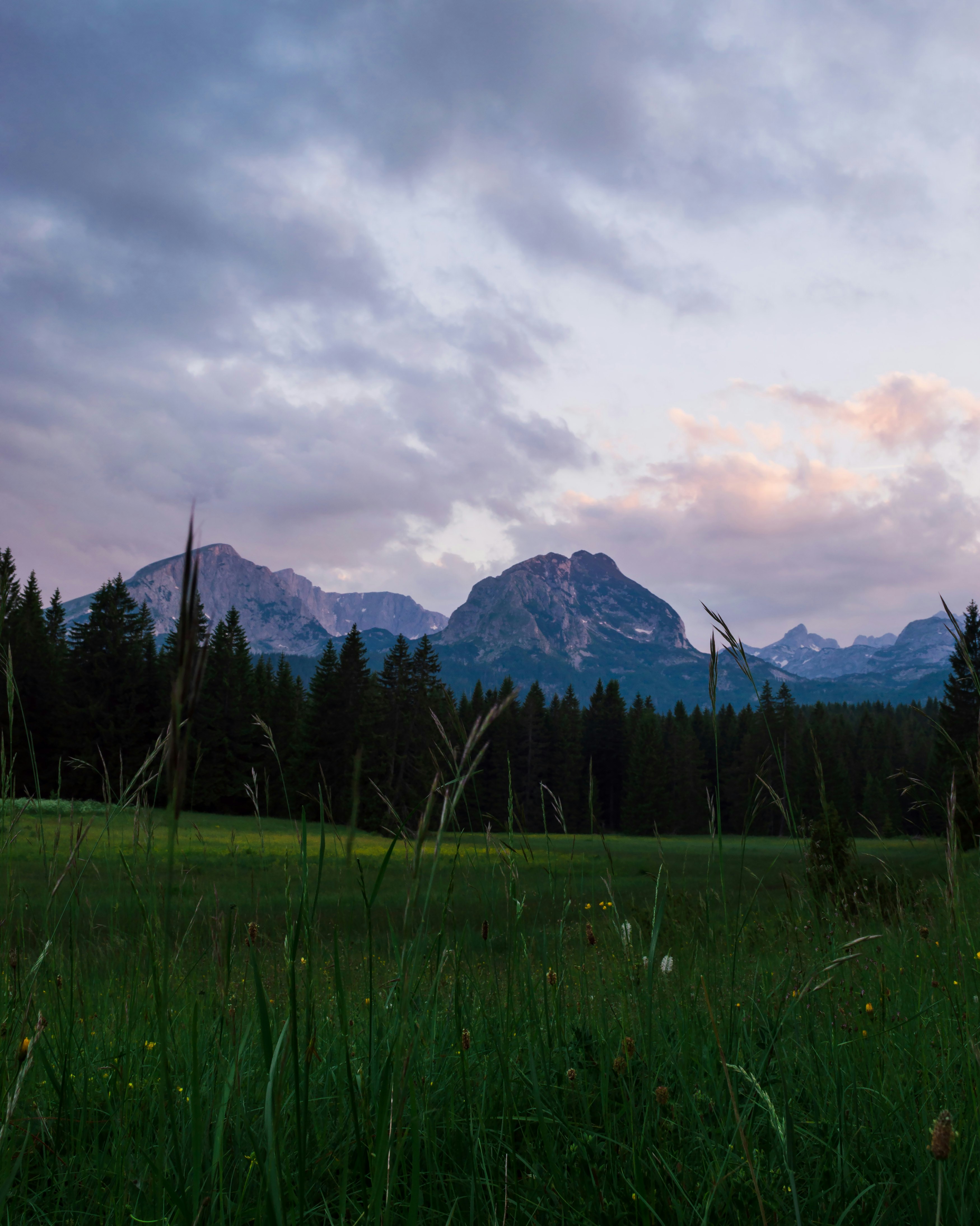 green grass field near green trees and mountains under white clouds and blue sky during daytime